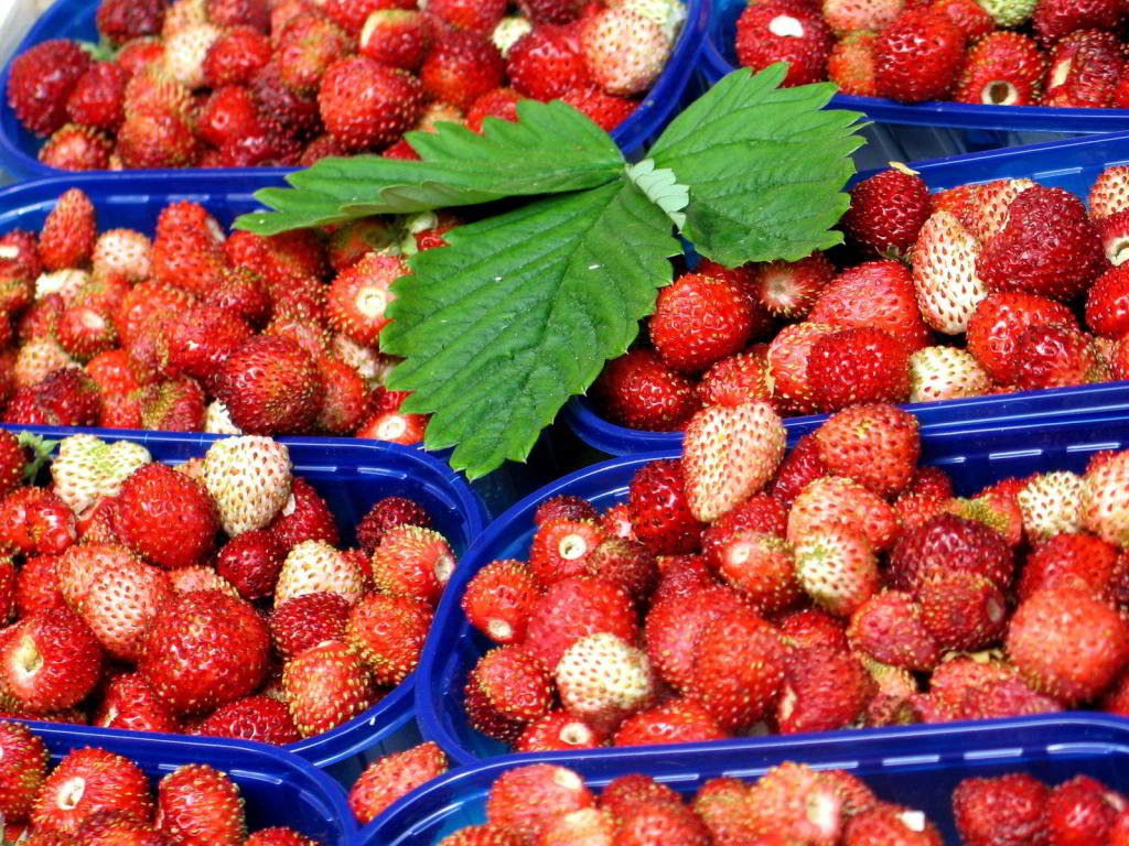 wild-strawberries-1622698-1599x1200.jpg