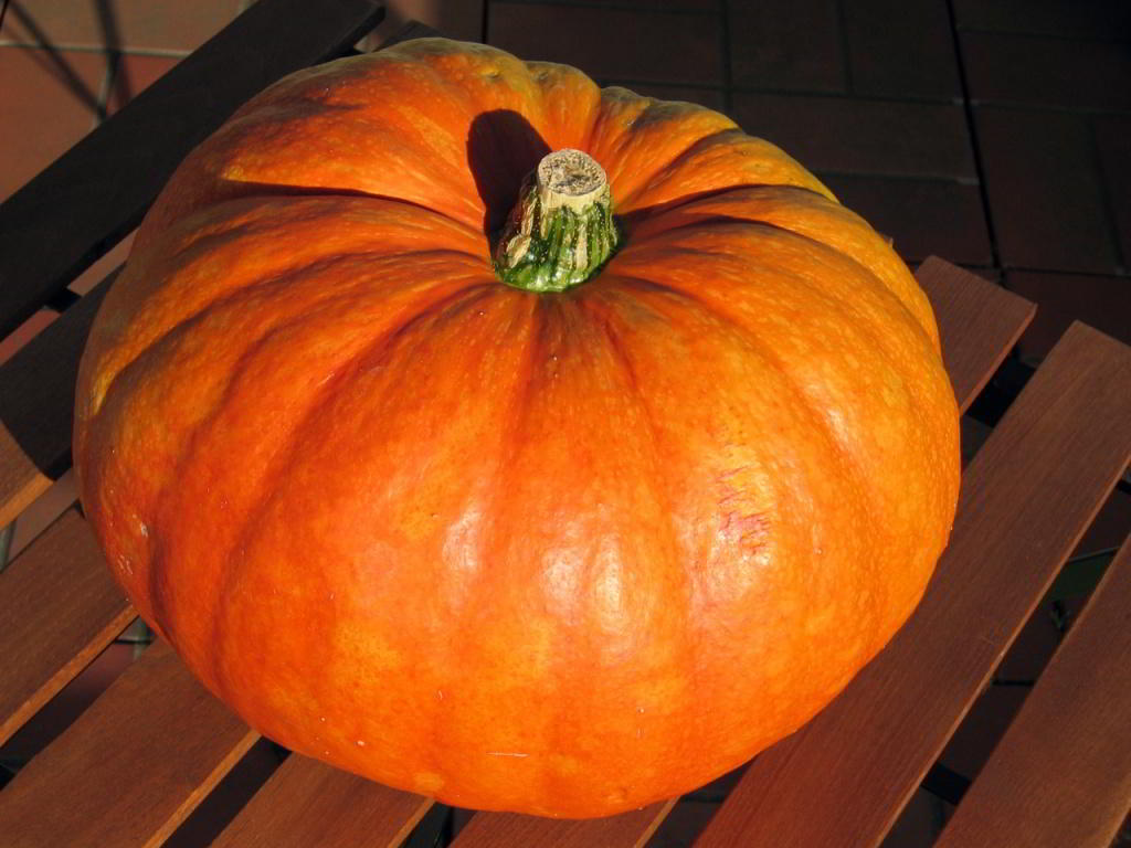 pumpkin-1325481-1280x960.jpg