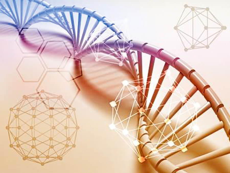 взаимодействие компонентов.jpg