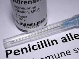 Аллергия на пенициллин: 5 фактов, про которые вы могли не слышать