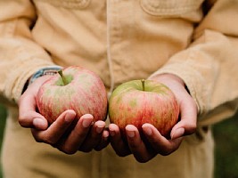 «Дорогие и специфические»: 5 мифов о фермерских продуктах