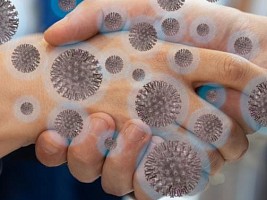 7 фактов о коронавирусе, которые должен знать каждый