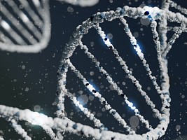 Генетический фактор важен для эстетической медицины: 6 возможностей ДНК-теста