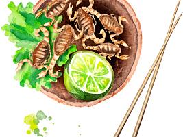 Закуски из насекомых, которые заменят вам еду