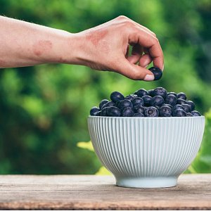 Как еда может повлиять на псориаз: 7 диетических способов улучшить состояние Как еда может повлиять на псориаз: 7 диетических способов улучшить состояние