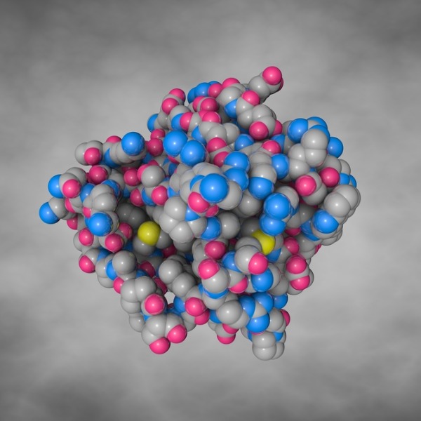 Убийца тестостерона: как высокий ГСПГ влияет на внешний вид и интимную жизнь мужчины Убийца тестостерона: как высокий ГСПГ влияет на внешний вид и интимную жизнь мужчины