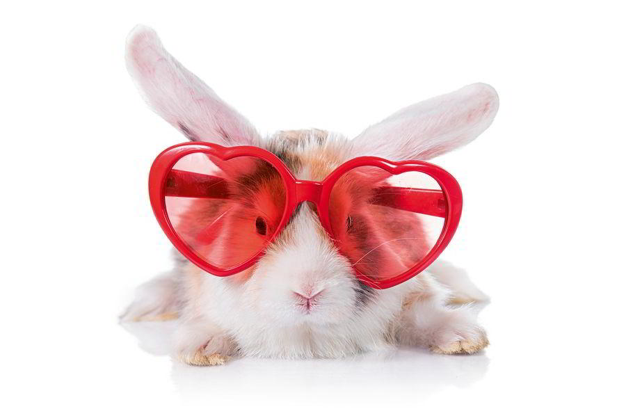 shutterstock_900.jpg shutterstock_900.jpg