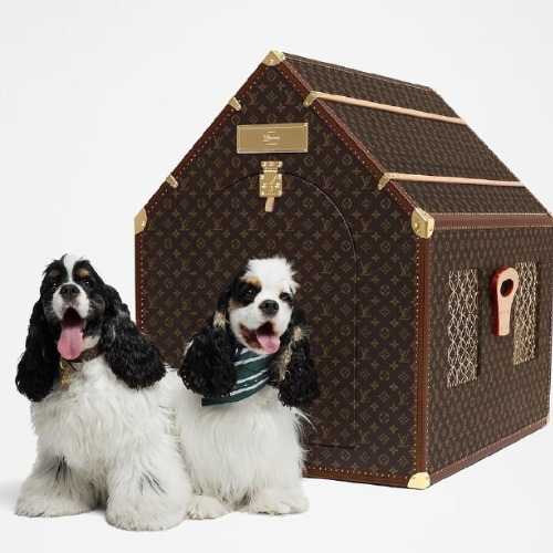 MyCollages - 2025-10-31T093606.974.jpg MyCollages - 2025-10-31T093606.974.jpg