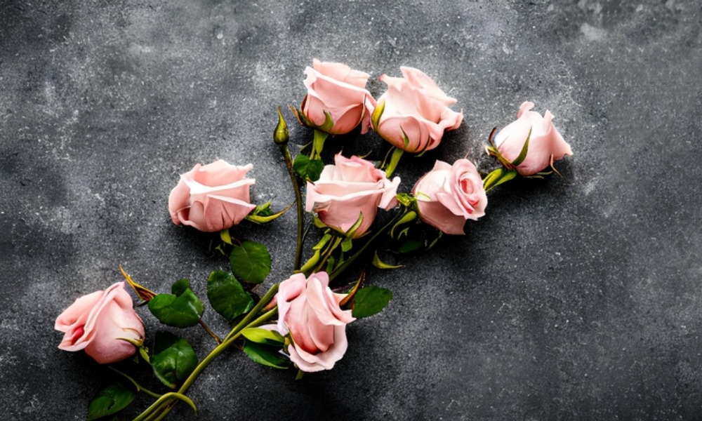 MyCollages - 2025-11-24T165113.252.jpg