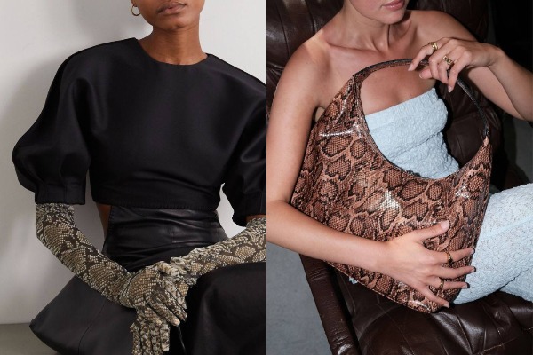 MyCollages - 2026-02-15T124825.224.jpg MyCollages - 2026-02-15T124825.224.jpg