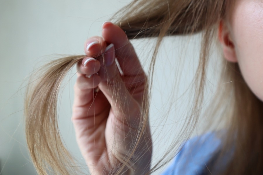 MyCollages - 2026-03-27T120651.728.jpg