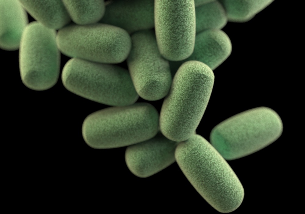 Бактерии3.jpg