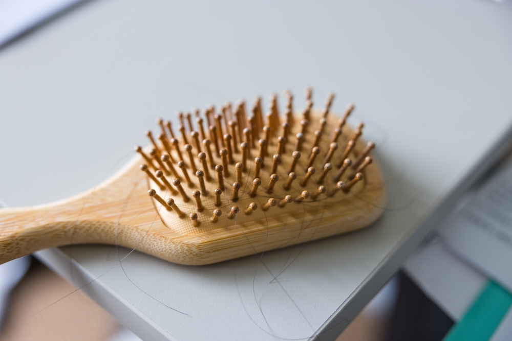 shutterstock_2569109083.jpg