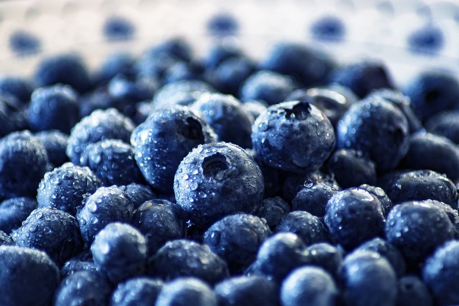 blueberry-3460423_1920.jpg