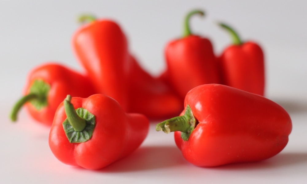 MyCollages - 2026-04-02T180846.781.jpg