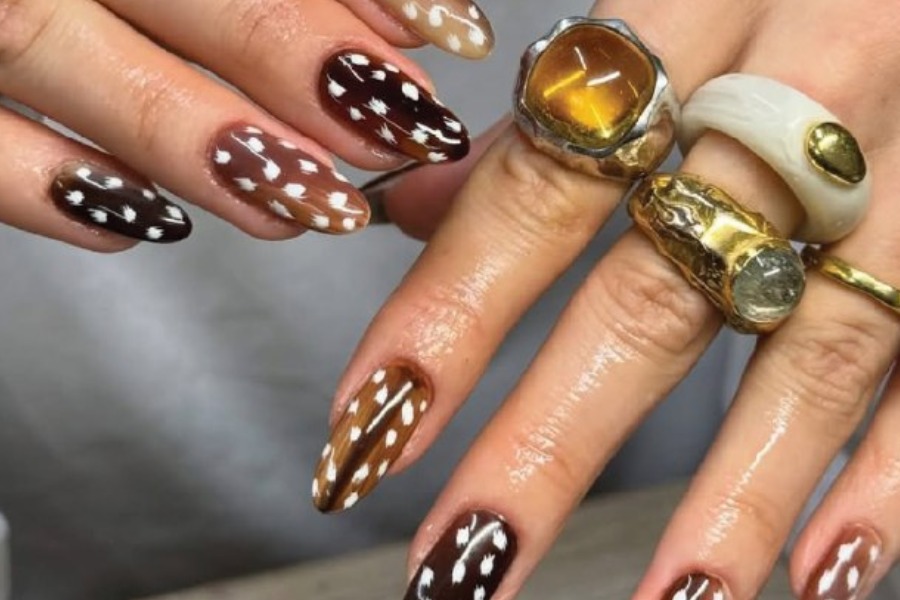 MyCollages - 2026-02-09T115831.797.jpg