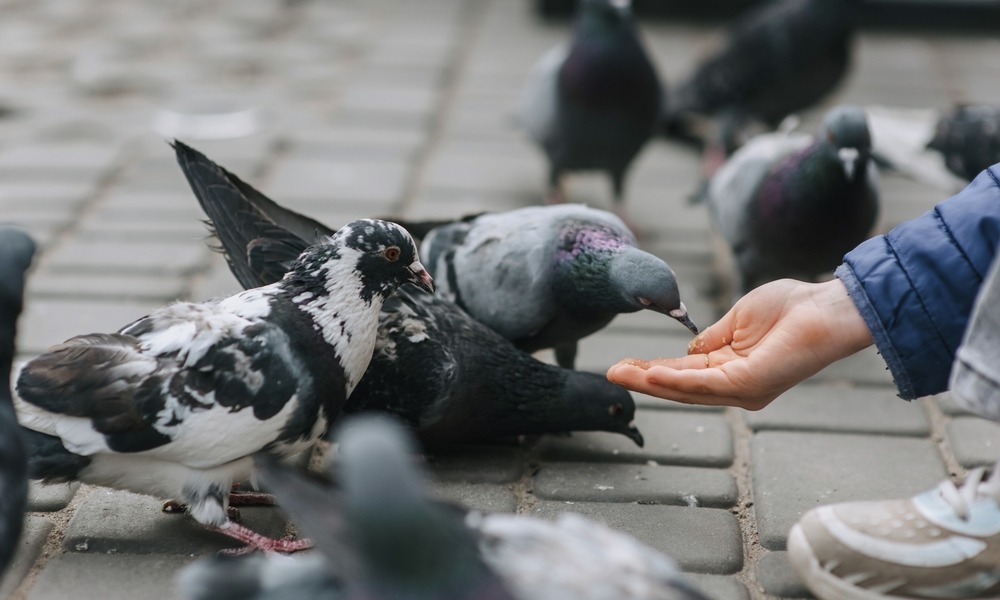 MyCollages - 2026-04-28T173852.272.jpg