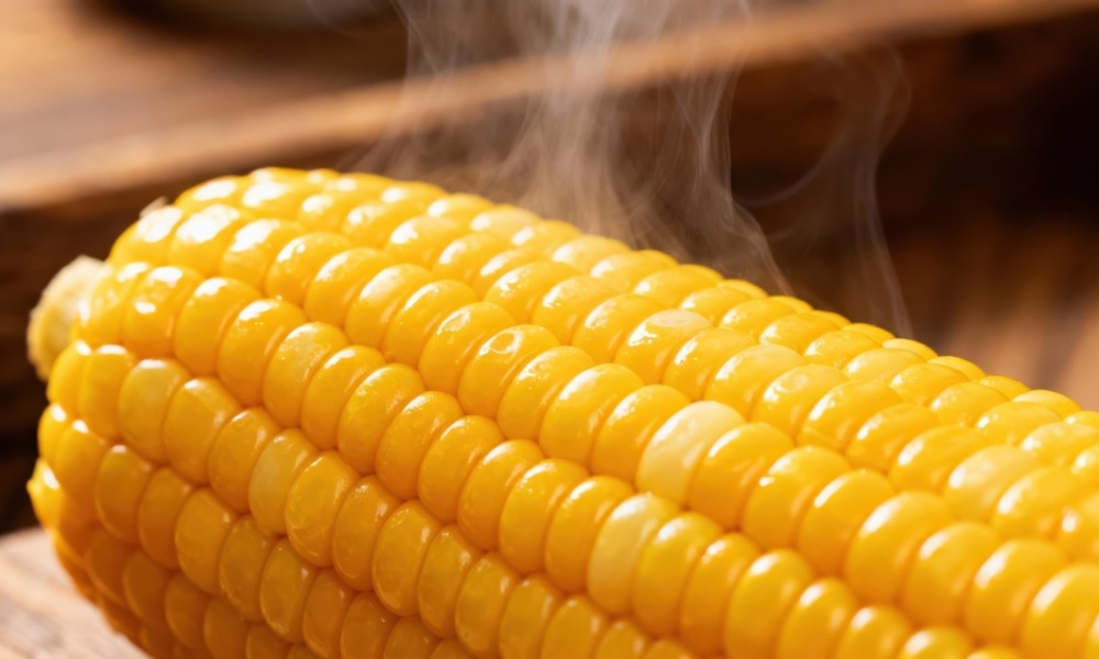 MyCollages - 2026-03-17T151907.371.jpg