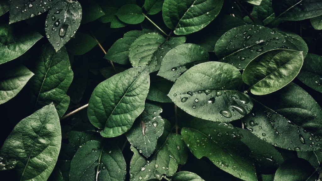 pexels-sohail-na-807598.jpg pexels-sohail-na-807598.jpg
