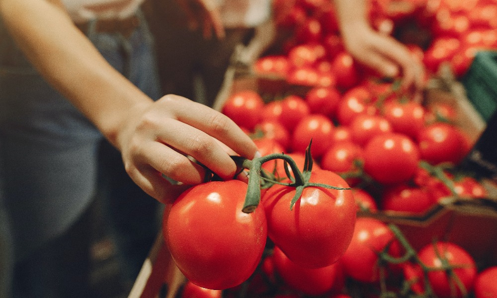 Как сохранить свежесть продуктов.jpg