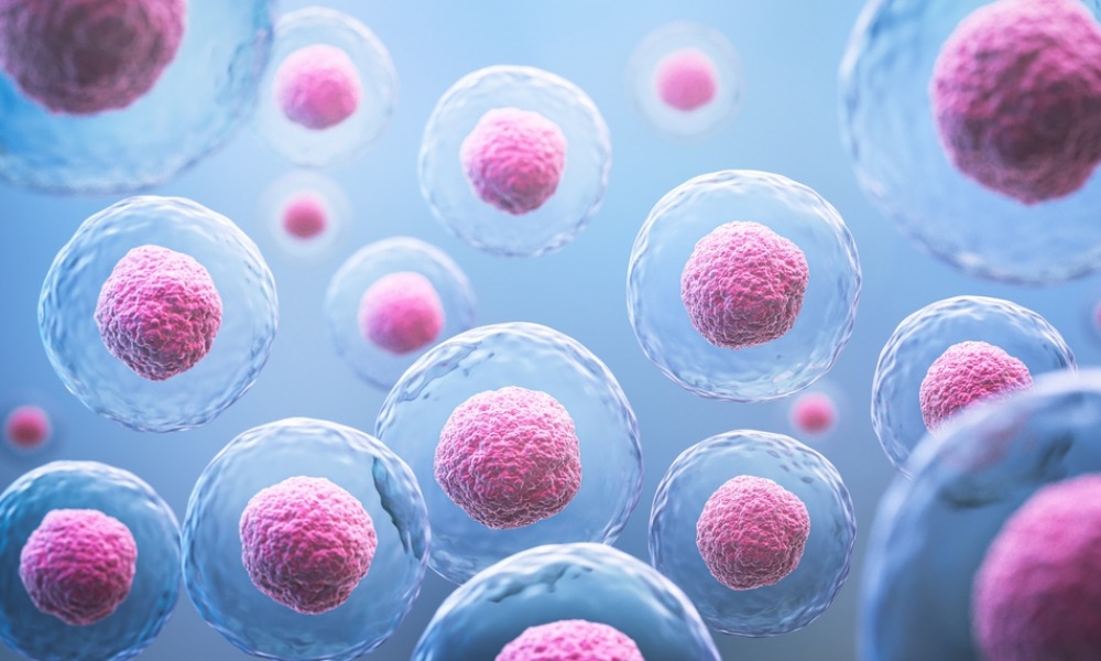 MyCollages - 2025-10-28T134204.127.jpg MyCollages - 2025-10-28T134204.127.jpg