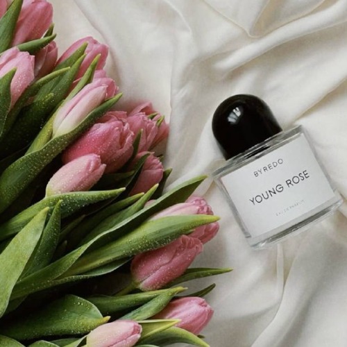 MyCollages - 2026-01-17T105400.796.jpg