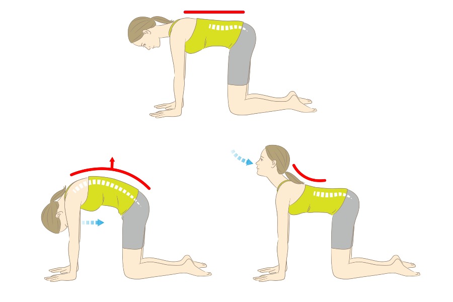 MyCollages - 2025-09-09T151907.387.jpg