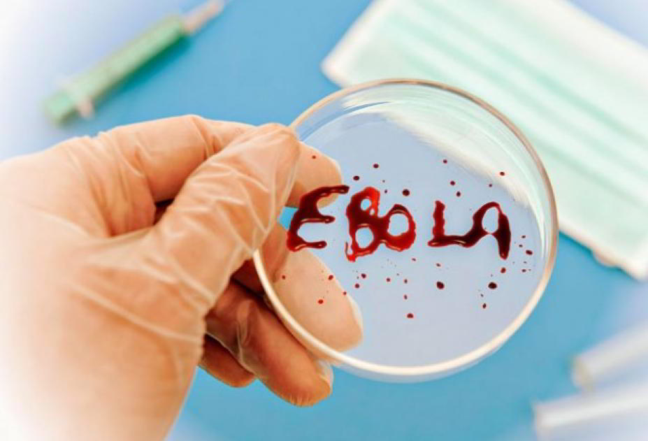 эбола.jpg