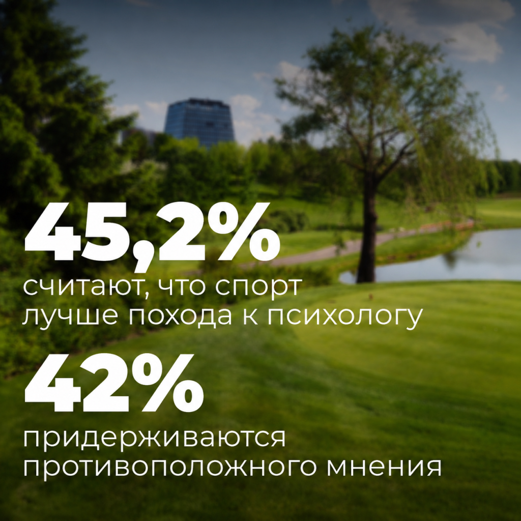 карточка_304.png карточка_304.png