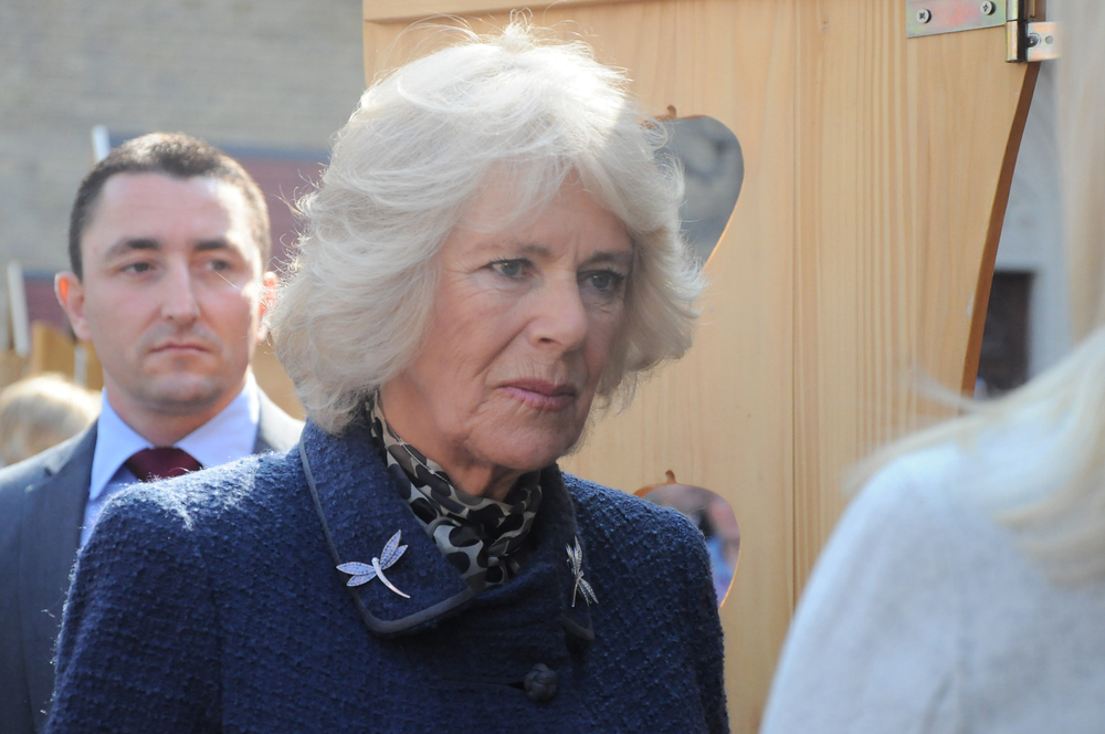 камилла9.jpg