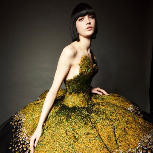 MyCollages - 2026-02-03T171011.474.jpg