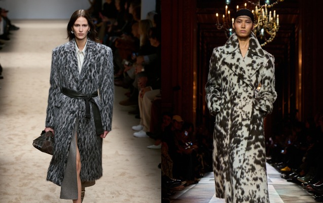 MyCollages - 2025-11-06T140238.714.jpg MyCollages - 2025-11-06T140238.714.jpg