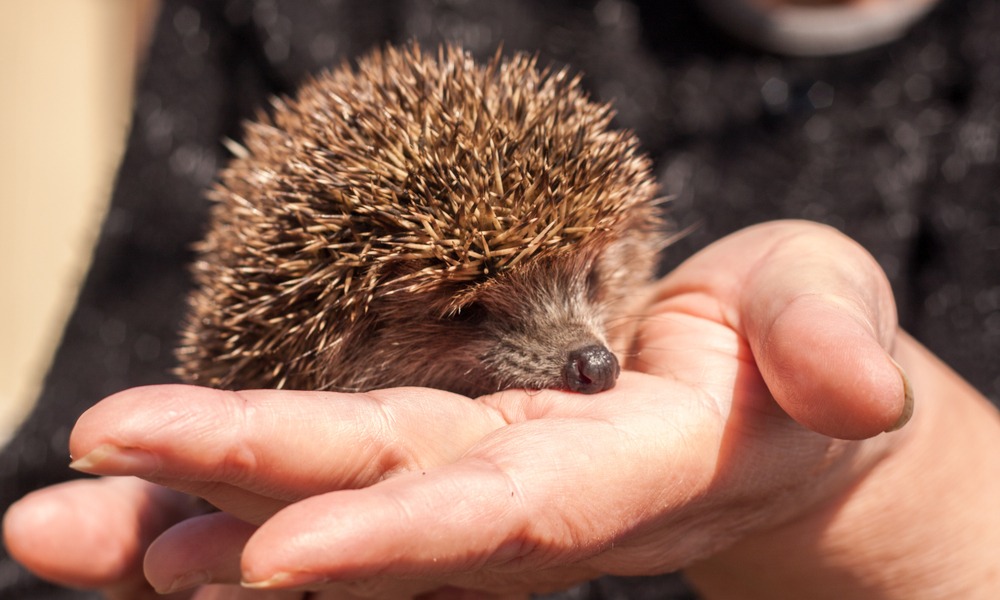 MyCollages - 2026-04-28T171542.919.jpg