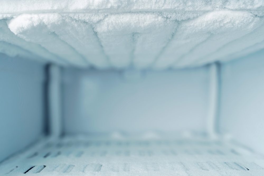 shutterstock_2710174493.jpg shutterstock_2710174493.jpg