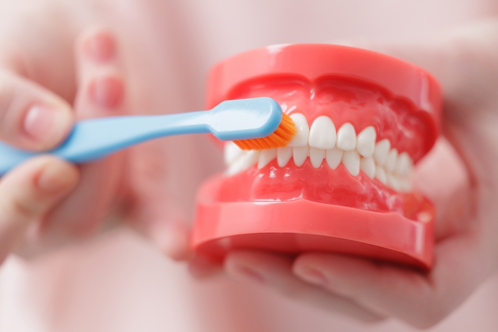 shutterstock_2703708819.jpg shutterstock_2703708819.jpg