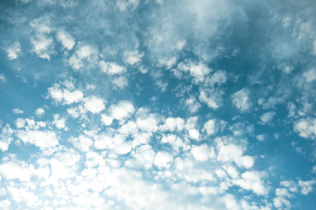 tim-foster-_p4P_ua9W_E-unsplash (1).jpg