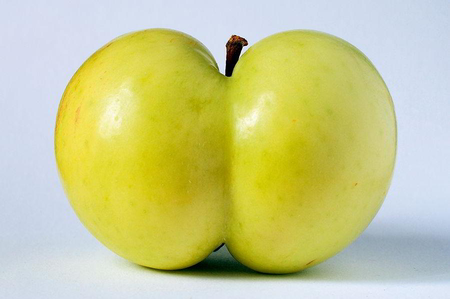 shutterstock_900.jpg shutterstock_900.jpg