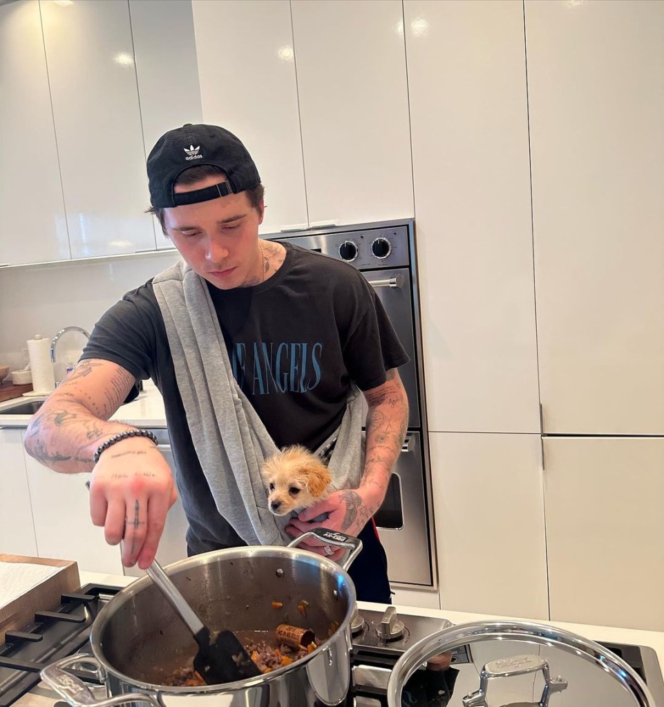 бруклин brooklynpeltzbeckham_329969784_123936153904737_3719826866148259805_n.jpg