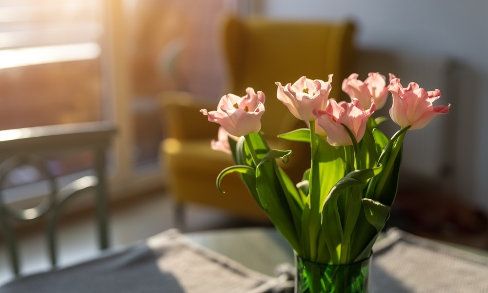 MyCollages - 2026-03-06T142318.094.jpg