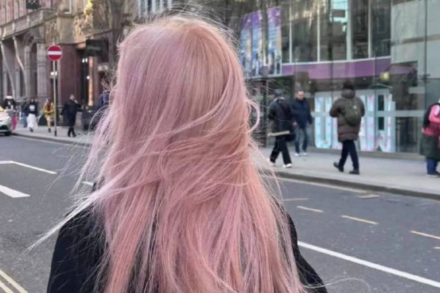 MyCollages - 2026-01-26T121308.611.jpg