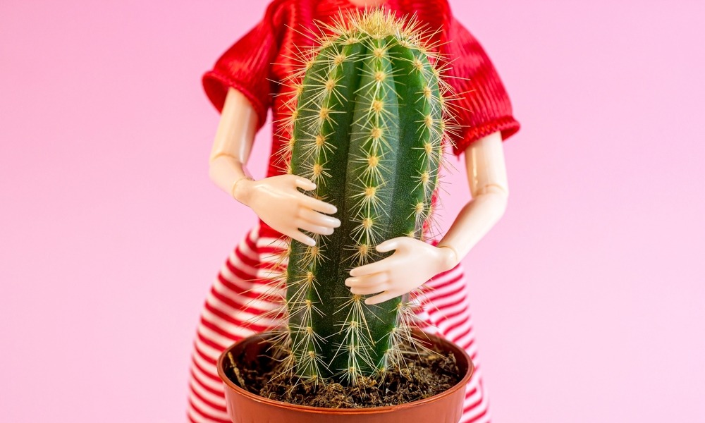 MyCollages - 2026-01-16T154736.490.jpg