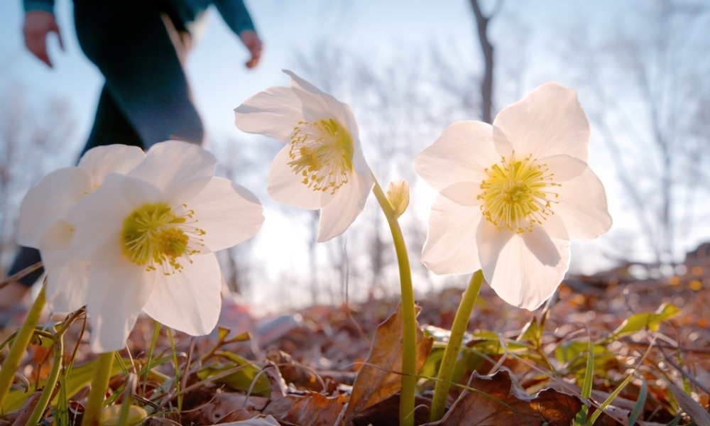 MyCollages - 2026-04-16T161934.646.jpg