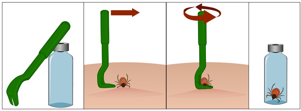 MyCollages - 2026-04-13T182226.880.jpg MyCollages - 2026-04-13T182226.880.jpg