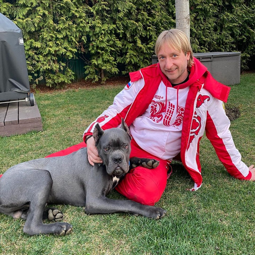 Евгений Плющенко Евгений Плющенко