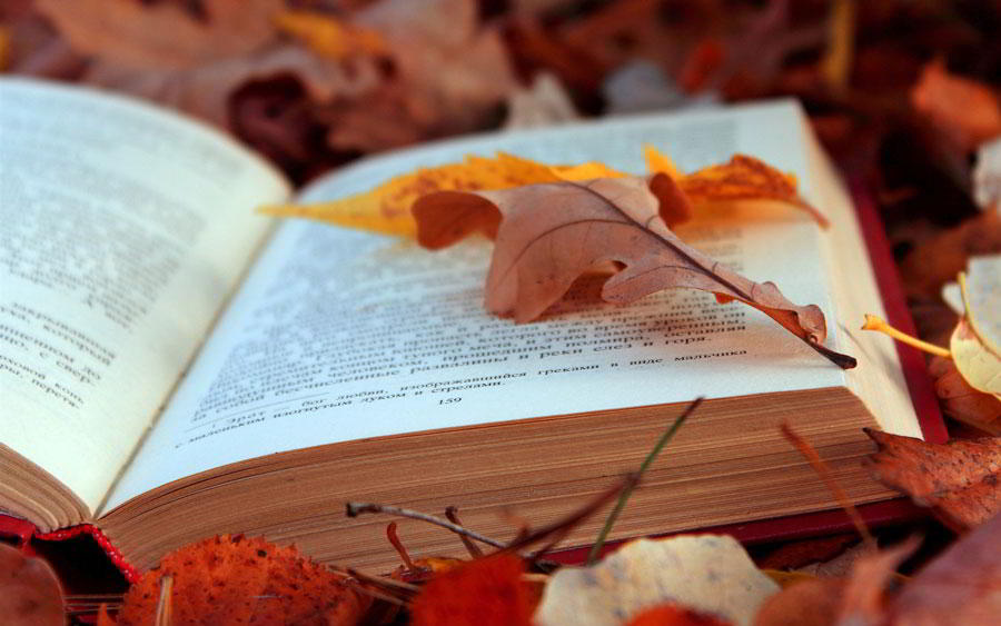 8 увлекательных книг, которые избавят вас от осенней хандры книги.jpg