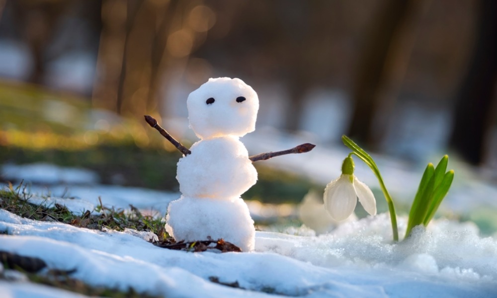 MyCollages - 2026-03-12T154913.676.jpg