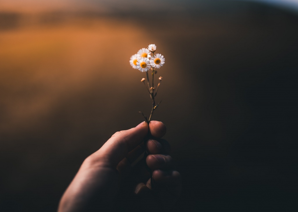 taneli-lahtinen-m6K4wGEQOq4-unsplash.jpg taneli-lahtinen-m6K4wGEQOq4-unsplash.jpg