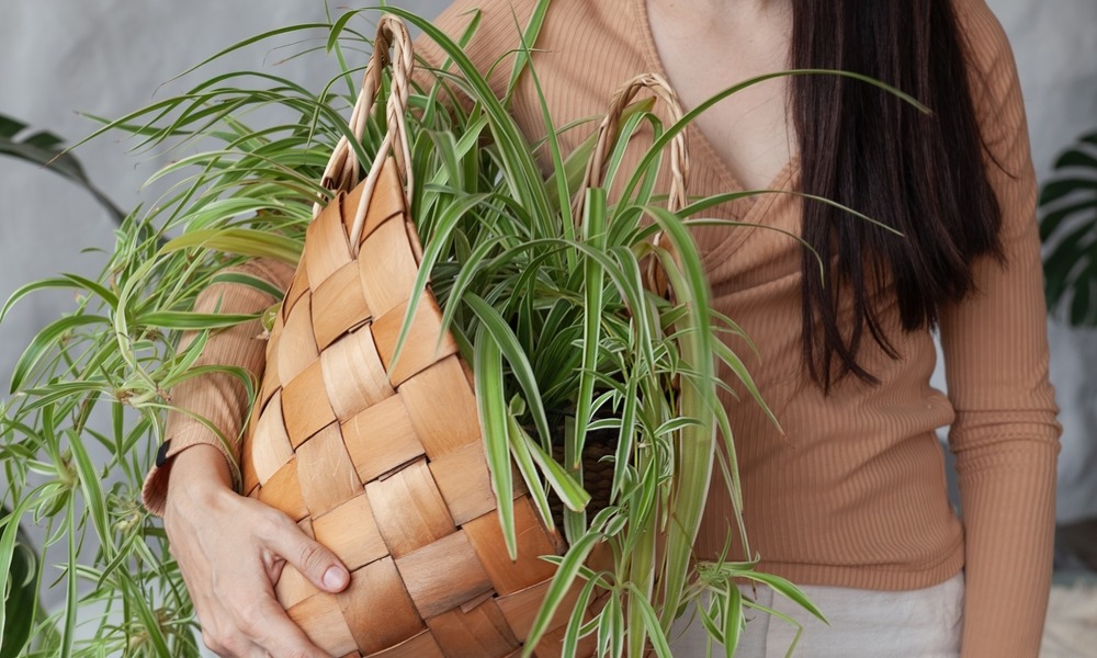 MyCollages - 2026-01-16T134538.770.jpg