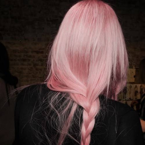 MyCollages - 2026-01-26T121334.568.jpg