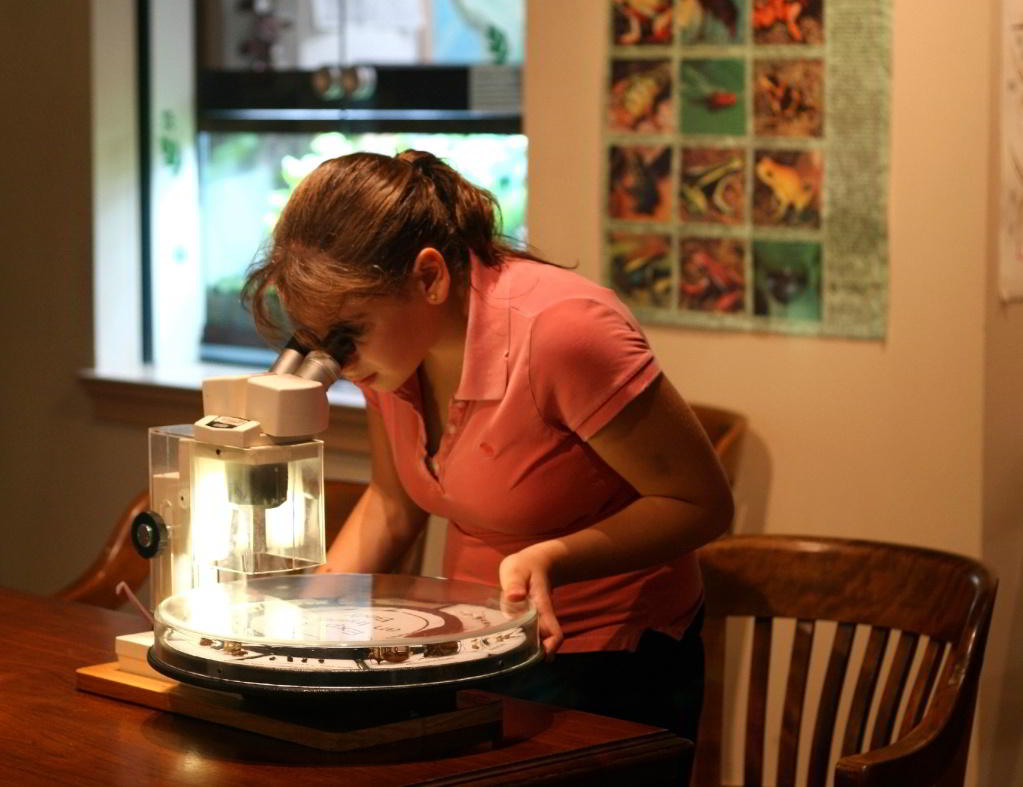 girl-at-microscope-1431936-1919x1475.jpg